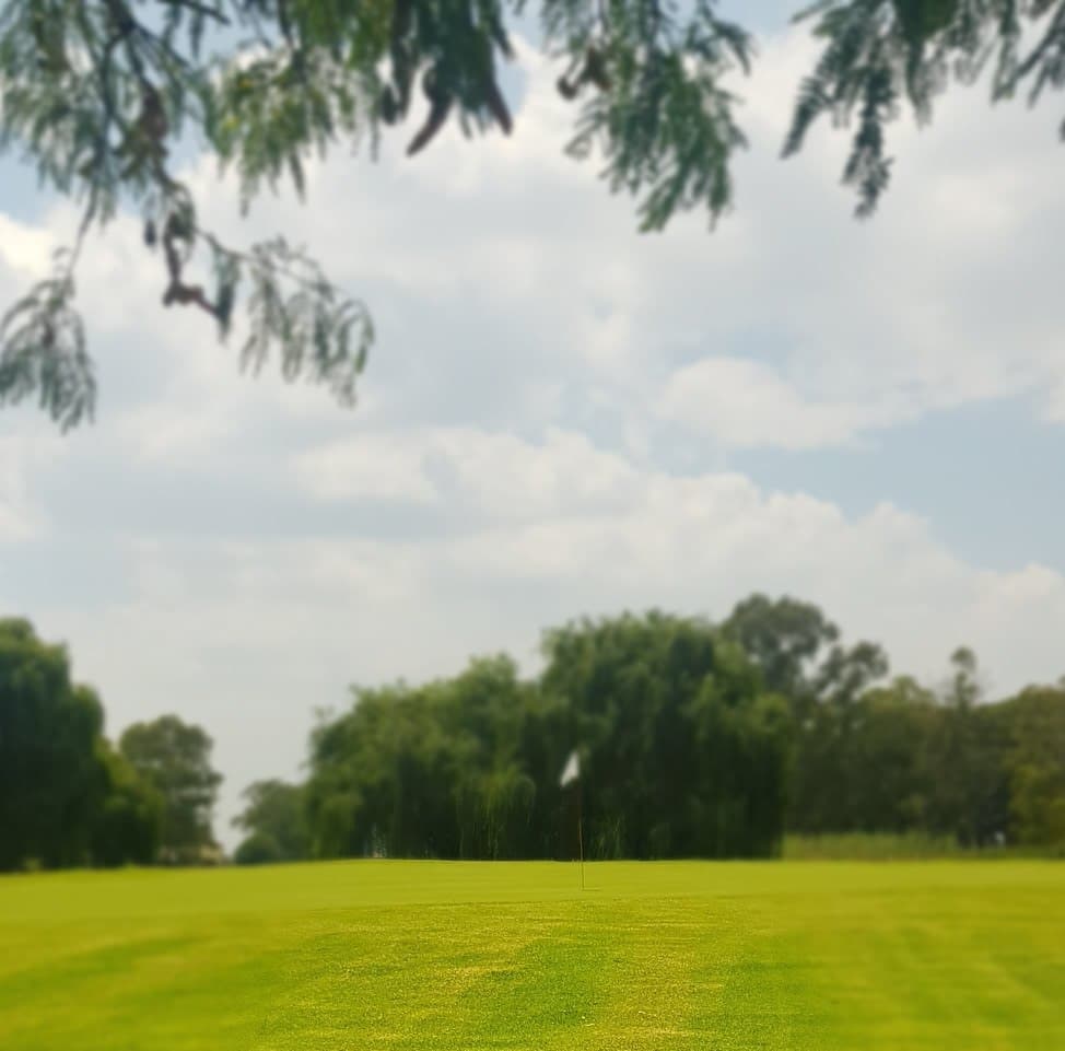 View down the driving range at Royal Oak.