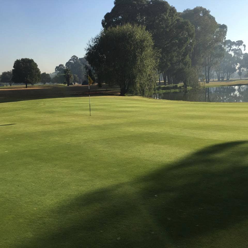 A lush, tree-lined fairway at a golf course, showcasing the challenge of accurate tee shots.